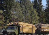 Аренда лесовоза Урал 4320 в Москве и Московской области